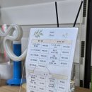한강세탁 | 여의도 한강 텐트대여 노블피크닉으로 즐긴 여유로운 한강데이트 후기
