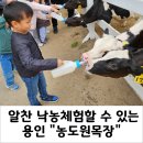 아이랑 가족 낙농체험, &#34;농도원목장&#34; 다녀온 후기