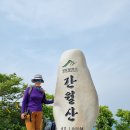 영 농장 이미지