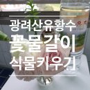 광려산유황수 네이버블로그