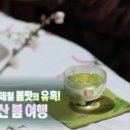 봄내음 가득한 꽃차 이미지