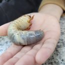 행복한체험마을 이미지