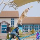 (주)안성목장 이미지