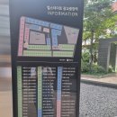 테디뷰티