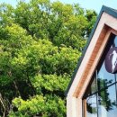 반다이크 브라운 이미지