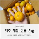 담원3 | [내돈내산]“쿠팡 귤담원 제주 제철 감귤 3kg 1박스 솔직 후기 | 🍊 달콤·상큼 겨울 필수 간식!”