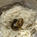 사구보세 이미지