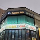 민들레29포차