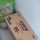 정식품 | 내돈내산 솔직후기) 정식품 그린비아 프로틴밀 Active 아몬드&amp;호두