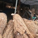 동화초등학교 이미지