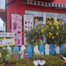 스위스마을114동 이미지