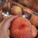 은혜로운팜 네이버블로그