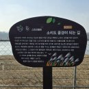 선사시대로 탐방 길(고인돌코스) 이미지