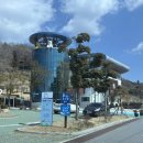 진도개 53카페 이미지