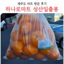 성산일출봉 | 제주도 하나로마트 성산일출봉 방문 구매 후기