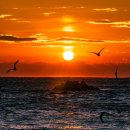 일출로1-R 이미지