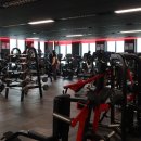 피닉스짐 이미지