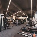 함마대로-2 이미지