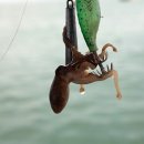 백사장 펜션 이미지