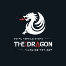 더드래곤