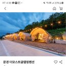 더모스트 글램핑 이미지