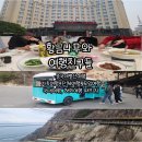 황금나무와 여행친구들과 함께한 중국대별산여행 가족여행 후기