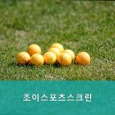 조이스포츠스크린 이미지