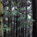 러브랜드 미술관 이미지