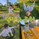 양주 아이랑 가기 좋은 덕정공원 아이누리 놀이터 후기