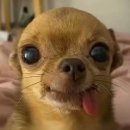 동현반점 | 알려드릴게요 근황에 대해 나에 대해