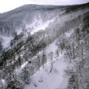 일상의 쉼표 이미지