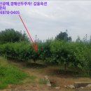 임고면-우항리-24