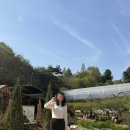 주연팜