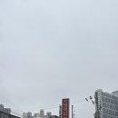 꼬생방 - 장흥군 | 구리 돌다리 맛집 꼬생방, 현지인들만 안다는 찐 치킨집 후기