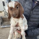 제이목장 이미지