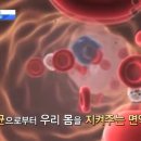 일죽스포렉스 네이버블로그