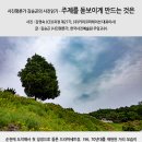 키미코퍼레이션 티스토리