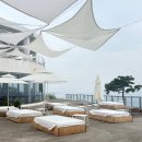 헤이메르 | 울산 간절곶 대형 카페, 베이커리 맛집 헤이메르