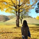 문화로57번길 | 가을여행지 추천, 경주 2박3일 후기