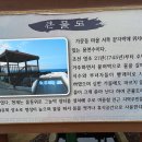 큰물도 티스토리