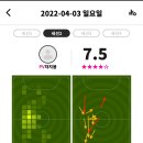 향남풋살파크