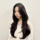 꼼나나비앙 한남점 네이버블로그