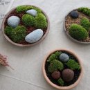 이끼스튜디오