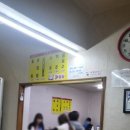 포항 수향회식당 물회 맛집, 회덮밥까지 완벽한 죽도시장 먹거리