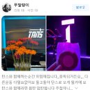 탄스마곡