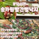 분당맛집은 바로여기 “송가원 빨간뻘낙지” 에서 제대로 몸보신 한 날