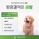 금왕동물병원 이미지