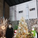 스카이라이브 이미지