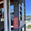 조이 | 남해맛집 추천 독일마을맛집 남해현지인맛집 남해수제버거 홀리조이 다녀온 후기