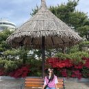 270-2533 | [제품리뷰] 나이키 여름운동화 추천 : DC2533-800 나이키 와플 원 (여자운동화 230사이즈 착샷)